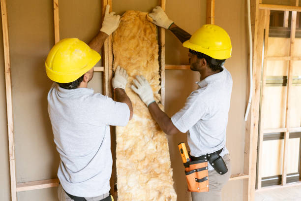 Best Insulation Removal  in Owosso, MI